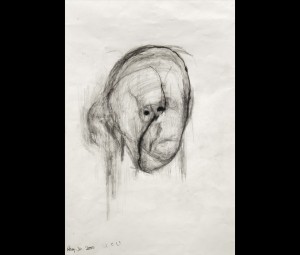 Head I, 2000, lápis no papel, 40.5×33 cm.