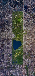 Central Park, Nova York