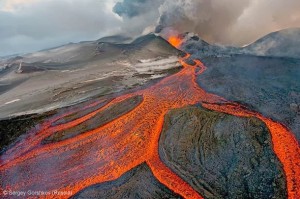 Wildlife-Photographer-of-the-Year-2013-19